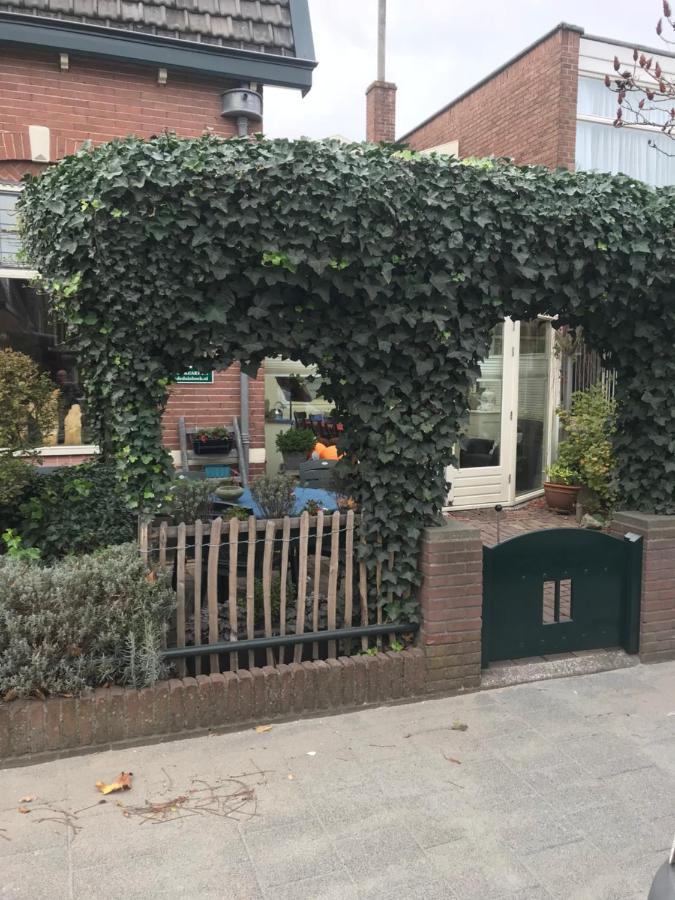 B&B De Duinhoek Бевервейк Екстер'єр фото